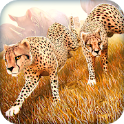Wild Animal Simulator Games 3D