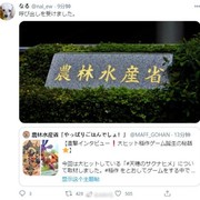 制作人nal(なる)被日本水产省“传唤”