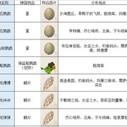 传送门骑士手游大型专题攻略之四——怪物掉落及装备技能篇