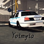 NYC POLICE