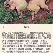 老乡你开开门，我们是国宝