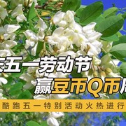 欢庆五一劳动节，赢豆币Q币周边