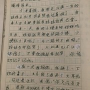 这个小学作文什么水平