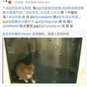 自动洗猫机(三德子荣誉出品)