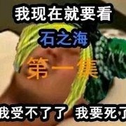 一直以为是波波最后变成了乌龟，结果发现原来是变成了乌龟驾驶员