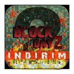 Block DayZ 2 : Türkçe Survival