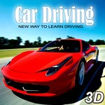 Dr Driving 3D