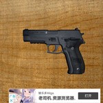 新枪已更新——SIG Sauer P226海军型手枪