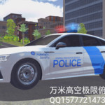 国土安全部警察（请勿盗图，盗图必究）