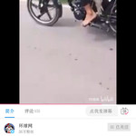 鳄鱼也不过如此