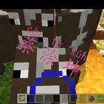 “我的世界”：Minecraft像素世界与你同在∽【已截止】