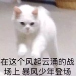 使命召唤q群