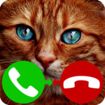 fake call cat game