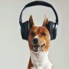 耳机狗