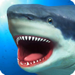 鯊魚模擬器修改版