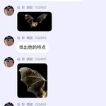 阴谋 这是个在阴谋