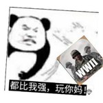 雕花SKS和加兰德谁好？感觉加兰德。。。