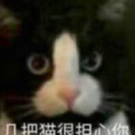 黑猫3