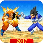 Super Goku : Warrior Battle