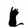 猫小黑Blackcat