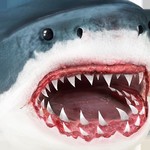 究极鲨鱼模拟修改版