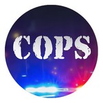 Cops - On Patrol修改版