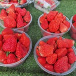 刘家峡的大草莓