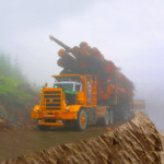Heavy Logging Cargo Truck Transport Simulator