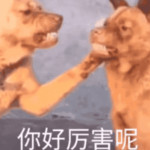 喜提，谢谢师傅。