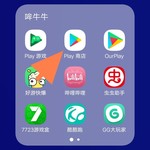 这不会是谷歌商店吧