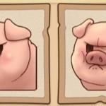 猪猪有点可爱嘛🐷
