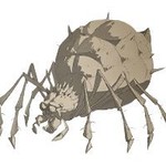 【卡牌图鉴】普通咒语卡——八眼蜘蛛的毒液