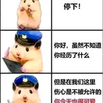 鼠鼠我啊