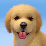 My Dog:Pet Dog Game Simulator