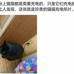 【每日话题】看看住在你手机里的小动物