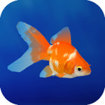 Goldfish 3D Relaxing Aquarium