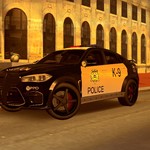 NFS10：CARBON 帕尔蒙特市警局犀牛SUV