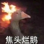 射鸡♂游戏