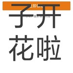 《代号：钢铁城》篝火测试调查问卷活动开始啦~