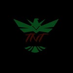 TNT战队新图标选择（仅限TNT成员参与）