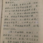 这个小学作文什么水平