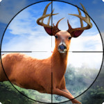 最后的猎人：野生动物狩猎修改版