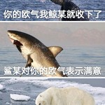 嗨圈欢乐秀：如何看待“海豹”跳脸？