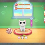 《花田小院》新版本海岛篇猫咪玩法体验！