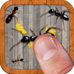 蚂蚁终结者 - 最好的免费游戏