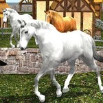 马的生活 - 野生模拟器