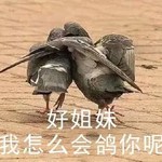 大人！无马的时代结束了！《像素魏蜀吴·蜀汉传奇》有奖爆料会开始啦！（已截止）