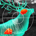 Wild Hunt: 狩猎游戏。射击模拟器