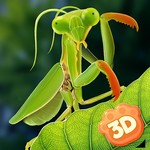 Mantis Insect Life Simulator
