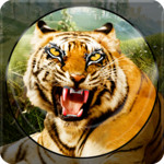 森林动物狩猎 - 3D